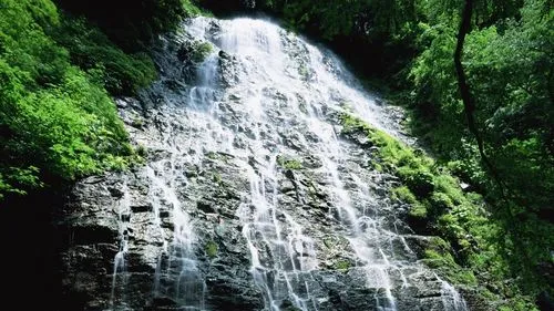 全自动节能节能
